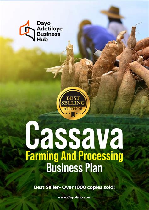 Future Prospects: Research and Development in Cassava Production