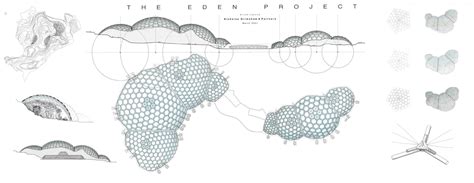 Future plans and projects of Eden Mor