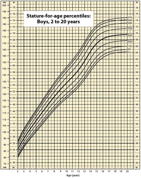 Get to Know the Numbers: Years and Stature