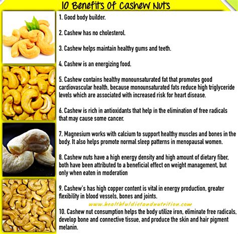 Going Nuts for Cashew: Exploring the Health Benefits