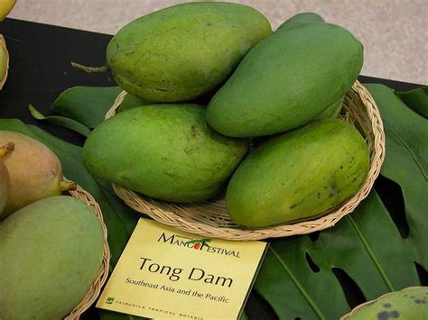 Green Mangoes in Popular Culture: Their Symbolism and Significance