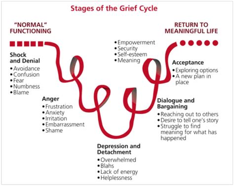 Grief and Growth: Coping with the Separation from an Intimate Companion