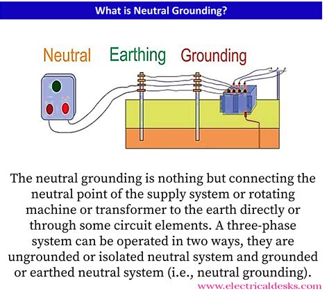 Grounding: The Restorative Power of Direct Earth Contact