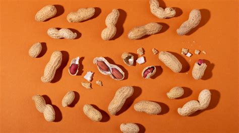 Groundnut Allergies: Understanding the Risks and Alternatives for Peanut-Free Snacking