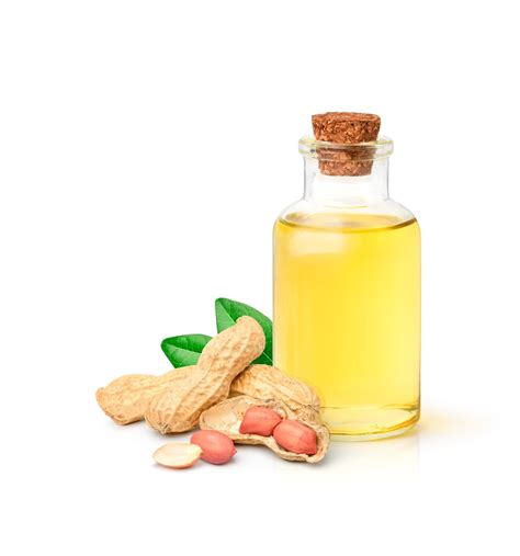 Groundnut Oil: Exploring the Versatility and Health Benefits in Cooking