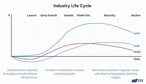 Growth and Maturity in the Industry