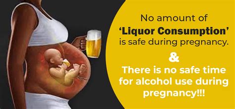 Guidelines for Ensuring Safe Alcohol Consumption during Pregnancy