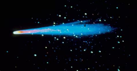 Hailey Comet's Inspirational Story and Beliefs