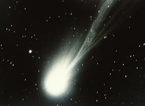 Hailey Comet: A Rising Star's Biography