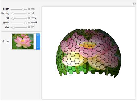 Harnessing the Potential of Crimson Fiery Insect Vision for Personal Development