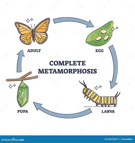 Harnessing the Potential of Petite Ivory Rodents: Exploiting Dreams for Personal Development and Metamorphosis