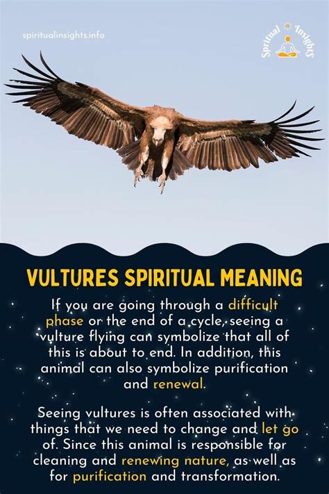 Harnessing the Power of Vulture Vision: Techniques for Spiritual Ascension