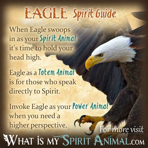 Harnessing the Strength of the Eagle's Spirit in Your Everyday Life