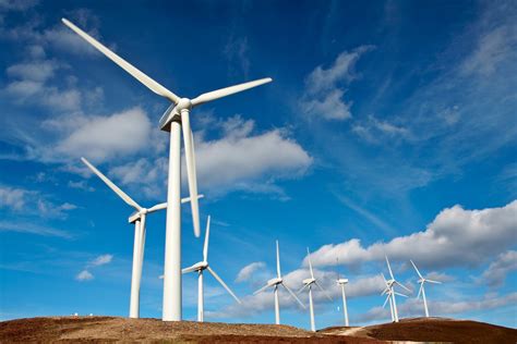 Harvesting Nature's Force: Wind Farms and Sustainable Energy