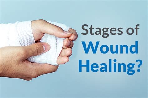 Healing the Wounds: Strategies for Restoring Trust After a Mother's Act of Deception
