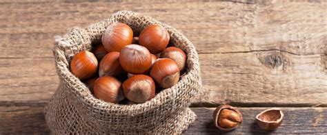 Health Benefits of Hazelnuts: A Nutritional Powerhouse