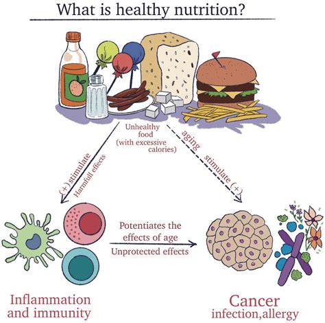 Health Implications: Examining the Nutritional Profile of Pachyderm Flesh