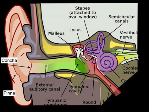 Hearing a Rapping Sound at the Entrance: Shared Explanations