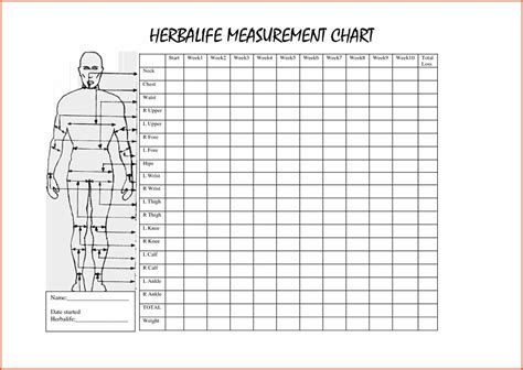 Height, Body Measurements, and Fitness Routine