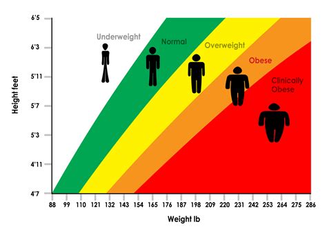 Height, Figure, and Personal Life