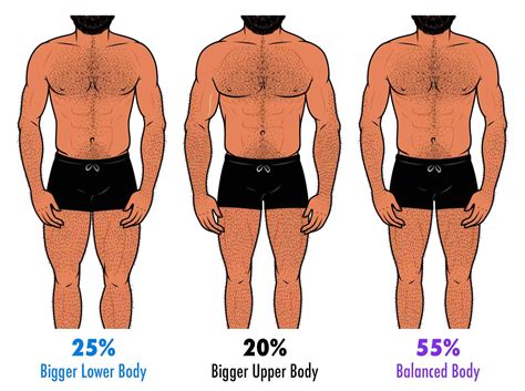 Height, Physique, and Attractiveness