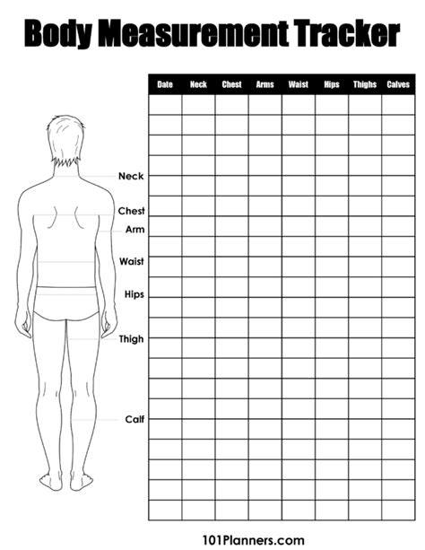 Height, Weight, and Body Stats