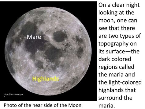 Height: Exploring Stella Moon's Physical Characteristics