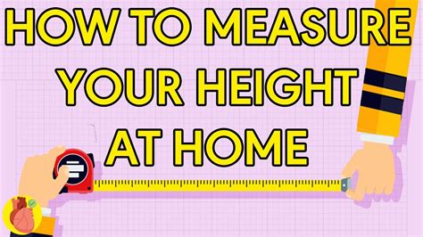 Height: Get to Know Lyrik's Measurements