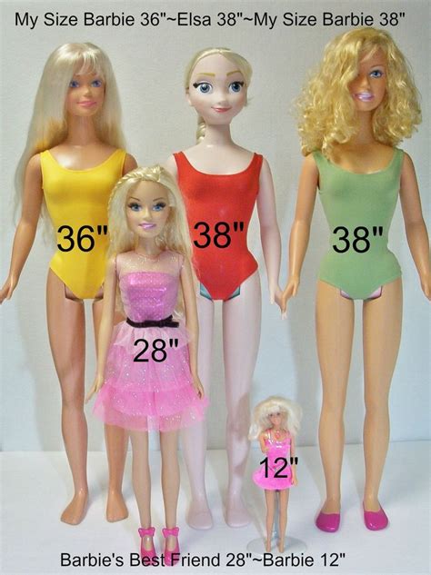 Height: How Tall is Barbie Gold?