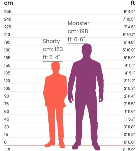 Height: How Tall is Vilka?