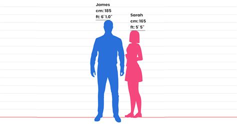 Height: Size and Comparison