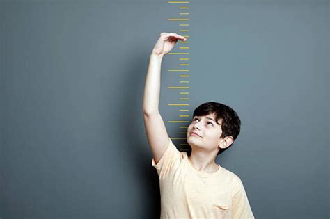 Height: The Physical Stature Revealed