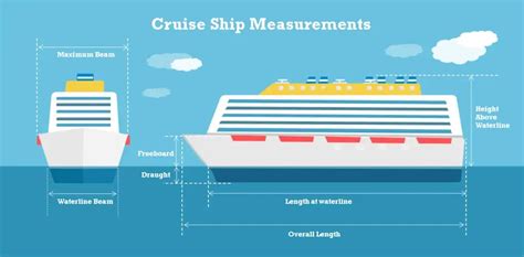 Height: Uncover Elysa Cruise's Dimensions