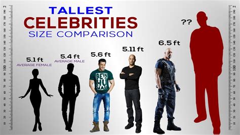 Height Comparison: Maggie McMuffin vs. Celebrities