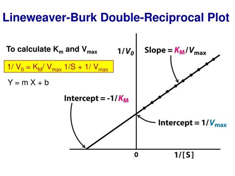 Height Does Not Determine Angel Burk's Skill