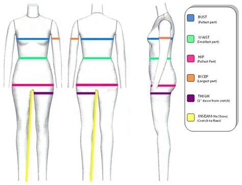 Height Matters: Miss Candy Sue's Measurements