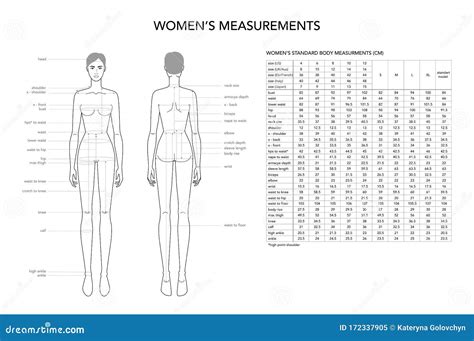 Height Measurements and Fashion Influences