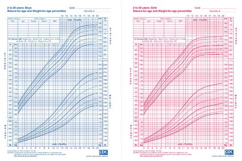 Height Statistics of Infant Explosion