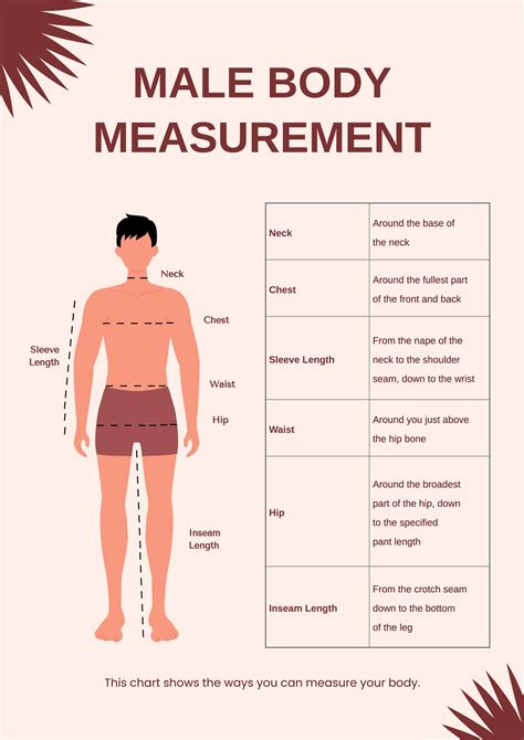 Height and Body Measurement Details