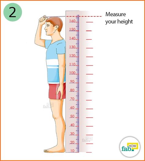 Height and Body Measurements of the Royal Highness