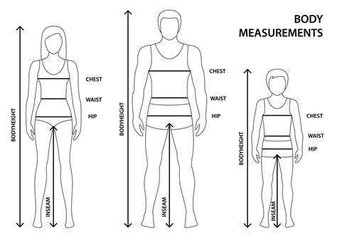 Height and Body Stats of Sandy Fire