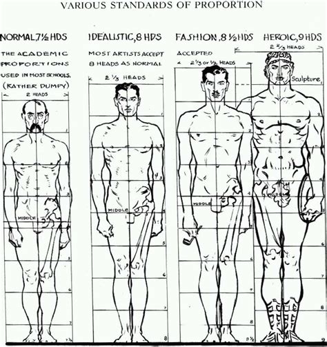 Height and Figure: Beegee's Flawless Proportions