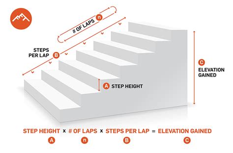 Height and Figure: How it Impacts Fitness Success