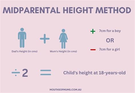 Height and Figure: What to Expect