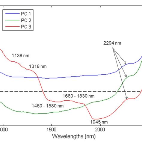 Height and Figure of Patty Red