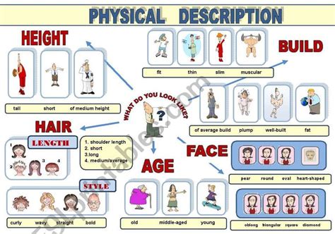 Height and Physical Description