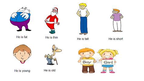 Height and Physical Dimensions of the Talented Individual