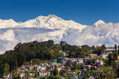 Height of Success: Amazon Darjeeling's Rise