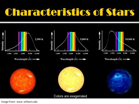 Height of the Enigmatic Star: Physical Characteristics