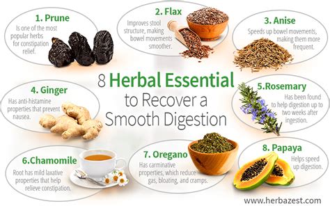 Herbal Teas and Natural Remedies for a Healthy Digestion